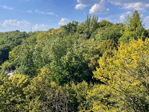 Квартира на вул. Липова Алея, 5 в Львові, ID 217498, фото №5