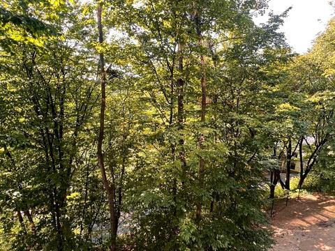 Квартира на вул. Липова Алея, 5 в Львів, ID 217499, фото №3