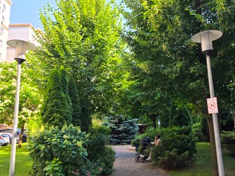 Квартира на вул. Героїв Небесної Сотні просп., 34/2 в Києві, ID 274160, фото №13