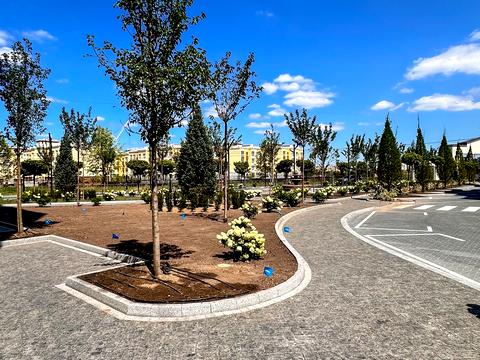 Квартира на вул. Межова, 9 в Києві, ID 274521, фото №16