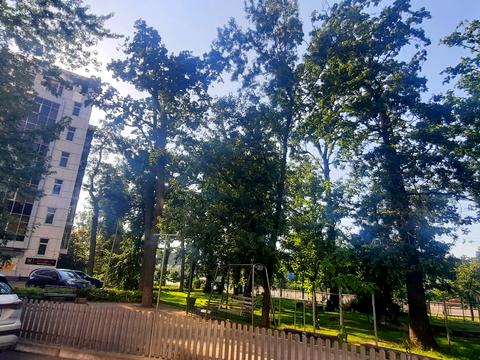 Квартира на просп. Берестейський, 121-А в Києві, ID 240515, фото №6
