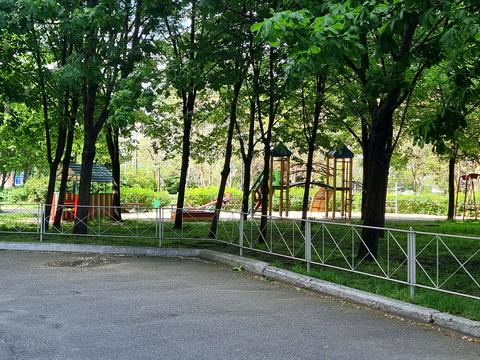 Квартира на вул. Левка Лук'яненка вул. , 2/12 в Києві, ID 245435, фото №33
