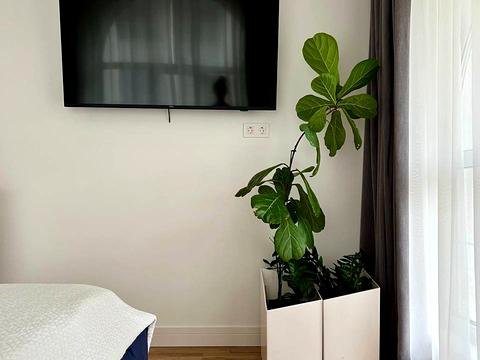 Квартира на вул. Михайла Максимовича, 26 в Києві, ID 235744, фото №13