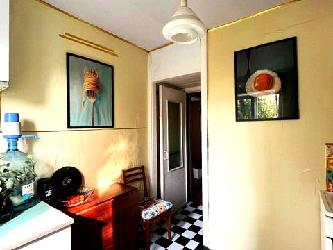 Квартира на вул. Михайла Донця, 21 в Києві, ID 260483, фото №9