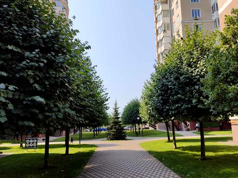 Квартира на вул. Бориса Гмирі, 20-А в Києві, ID 254875, фото №3
