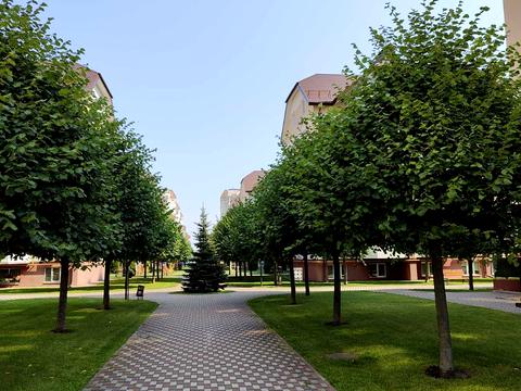 Квартира на вул. Бориса Гмирі, 20-А в Києві, ID 254875, фото №5