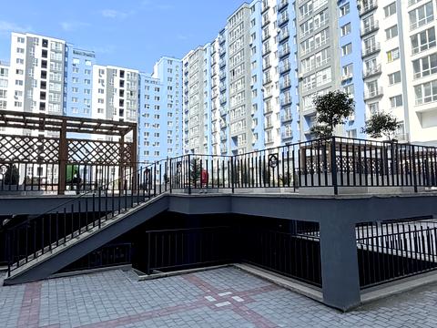 Квартира на вул. Княгинин в Івано-Франківську, ID 256299, фото №12