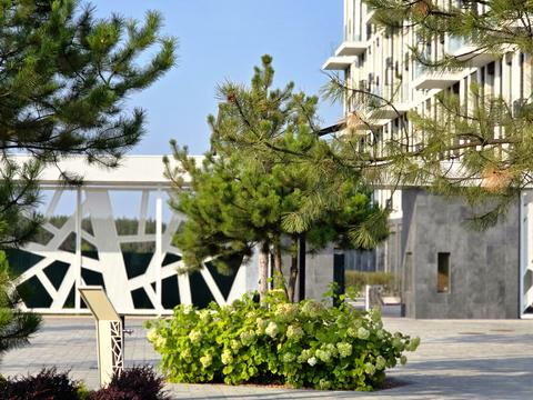 Квартира на вул. Петра Дорошенка, 44 в Києві, ID 254862, фото №5