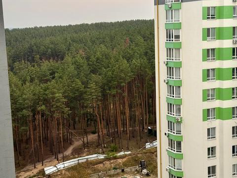 Квартира на вул. Університетська вул., 3/11 в Києві, ID 256206, фото №24