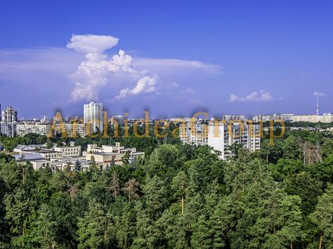 Квартира на вул. Анатолія Петрицького, 15-А в Києві, ID 257483, фото №40