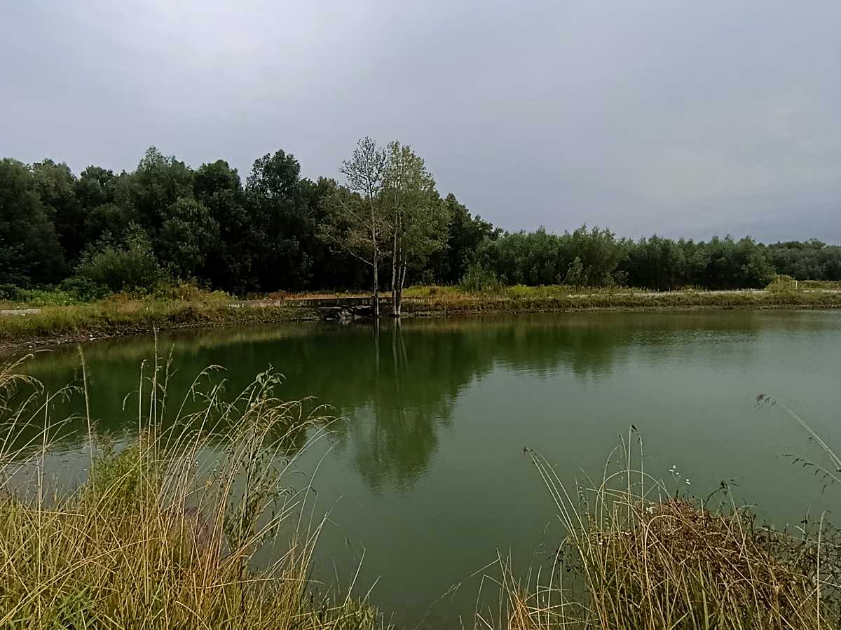 Квартира на вул. Героїв Крут, 10 в Києві, ID 326345, фото №16