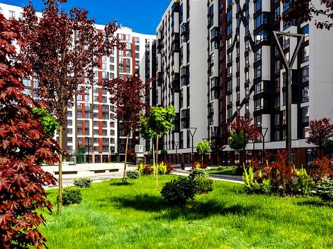 Квартира на вул. Ленкавського вул., 34 к11 в Івано-Франківську, ID 257894, фото №29