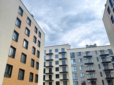 Квартира на вул. Євгена Коновальця в Івано-Франківськ, ID 259067, фото №2