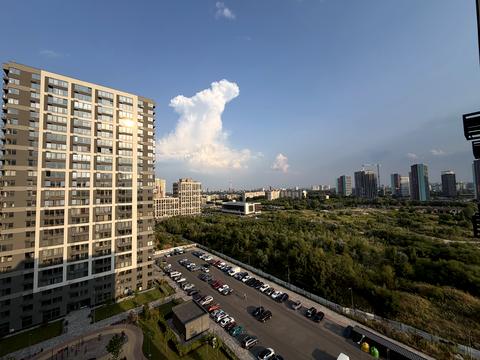 Квартира на вул. Родини Крістерів, 14 в Києві, ID 259208, фото №8