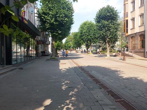 Квартира на вул. Лесі Українки, 16 в Луцьк, ID 261844, фото №2