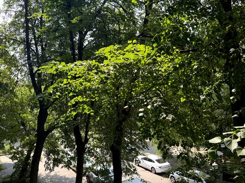 Квартира на вул. Академіка Ромоданова, 14 в Києві, ID 262537, фото №19
