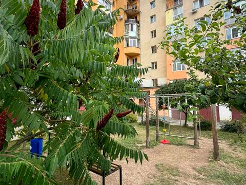 Квартира на вул. Олександра Довженка, 10 в Івано-Франківську, ID 263240, фото №11