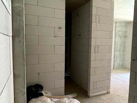 Квартира на вул. Хриплинська в Івано-Франківську, ID 263358, фото №17