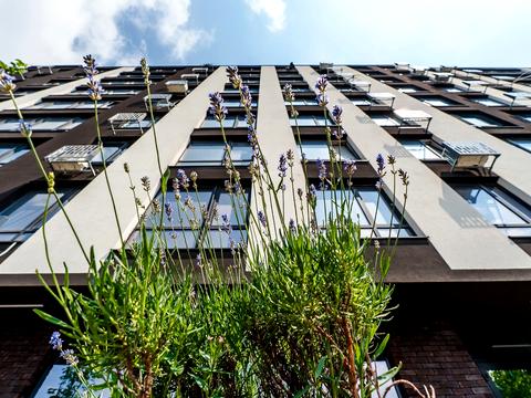 Квартира на вул. Романа Левицького в Івано-Франківську, ID 266224, фото №8