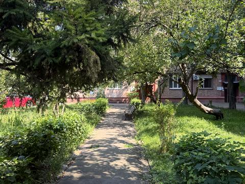 Квартира на вул. Новодарницька, 13 в Києві, ID 267958, фото №25