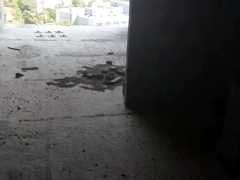 Квартира на вул. Лобачевського, 7 в Київ, ID 290525, фото №2