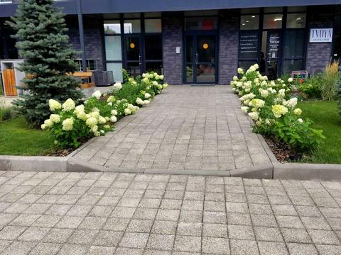 Квартира на вул. Олега Мудрака, 1-Б в Києві, ID 267273, фото №11