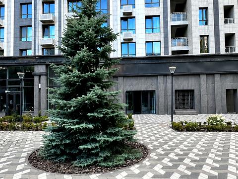 Квартира на вул. Фортечний тупик, 7Б в Києві, ID 290583, фото №16