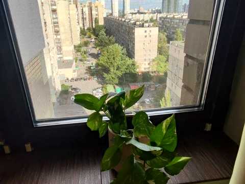 Квартира на Дніпровська набережна, 3 в Києві, ID 290576, фото №25