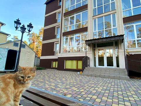 Квартира на вул. Антонія Михайловського, 72-Г в Києві, ID 270151, фото №21