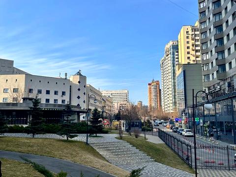 Квартира на вул. Андрія Верхогляда, 14-А в Києві, ID 271061, фото №14