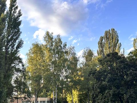 Квартира на просп. Європейського Союзу, 92 в Києві, ID 272224, фото №14