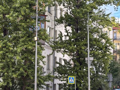 Квартира на вул. Тарасівська, 16 в Києві, ID 273753, фото №8
