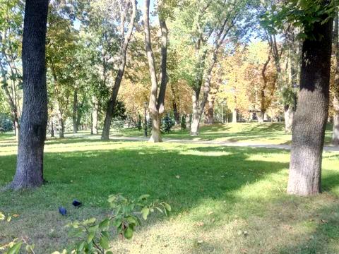 Квартира на вул. Івана Мазепи, 3 в Києві, ID 273859, фото №29