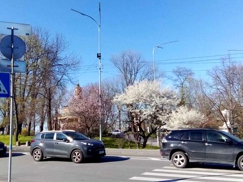 Квартира на вул. Івана Мазепи, 3 в Києві, ID 273859, фото №52