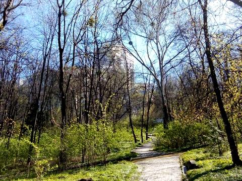 Квартира на вул. Івана Мазепи, 3 в Києві, ID 273859, фото №54