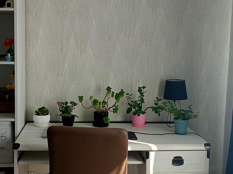 Квартира на вул. Алматинська, 39-Е в Києві, ID 274674, фото №14