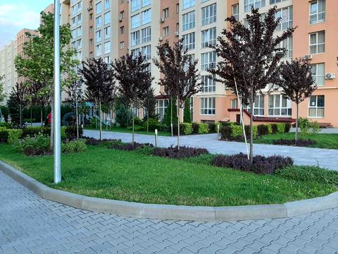 Квартира на вул. Героїв Небесної Сотні просп., 26/15 в Києві, ID 275932, фото №24