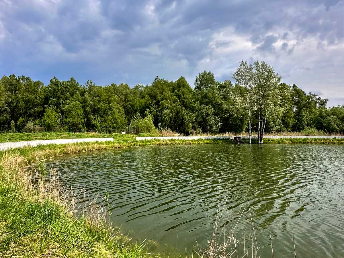 Квартира на вул. Героїв Крут в Києві, ID 309835, фото №27
