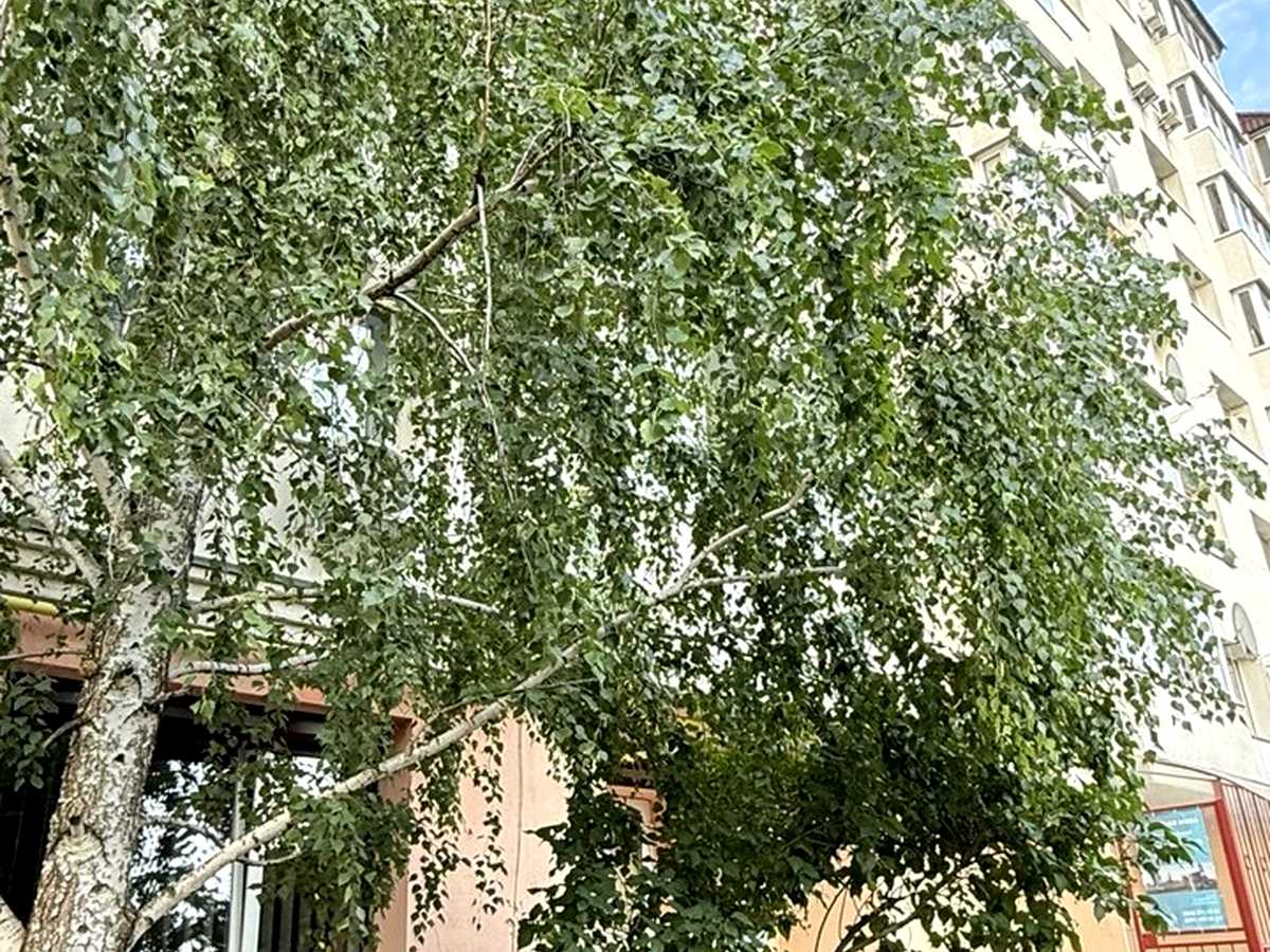 Квартира на вул. Білогородська, 19а в Києві, ID 313226, фото №31