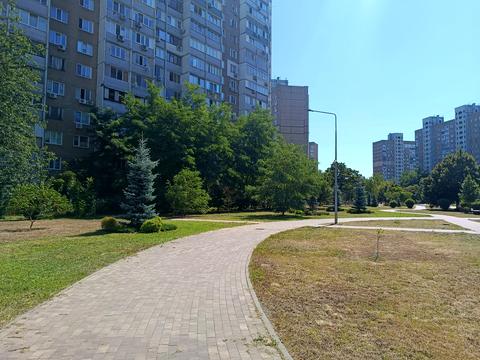 Квартира на просп. Червоної Калини, 17-Д в Києві, ID 277184, фото №26