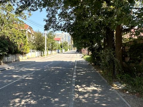 Квартира на вул. Сторожинецька, 29 в Чернівці, ID 277882, фото №4