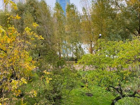 Квартира на вул. Героїв Дніпра, 38-Е в Києві, ID 278087, фото №19