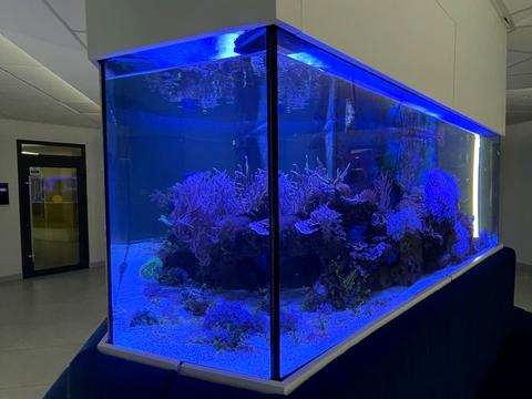 Квартира на вул. Фонтанська дорога в Одесі, ID 278302, фото №7