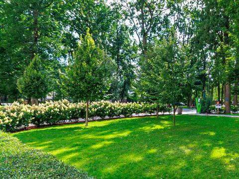Квартира на вул. Ново-Оскольська, 2-М в Києві, ID 280053, фото №21