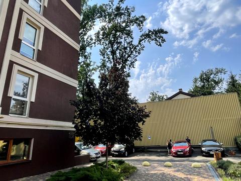 Квартира на вул. Антонія Михайловського, 72-Г в Києві, ID 280382, фото №13