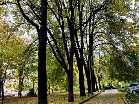 Квартира на вул. Івана Мазепи, 4-А в Києві, ID 281071, фото №22