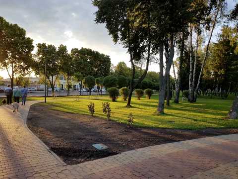 Квартира на вул. Мрії, 18 в Києві, ID 281708, фото №13