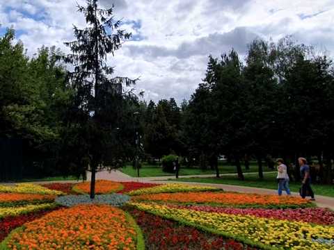 Квартира на вул. Мрії, 18 в Києві, ID 281708, фото №10