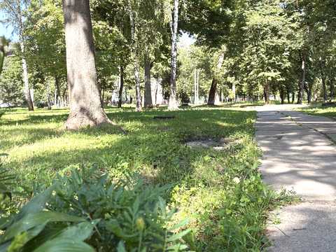 Квартира на вул. Академіка Булаховського, 28-Б в Києві, ID 281934, фото №22