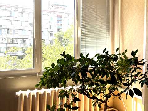 Квартира на вул. Академіка Булаховського, 28-Б в Києві, ID 281934, фото №9